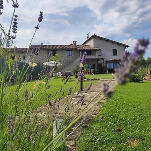  Lodge Casale Mille E Notte